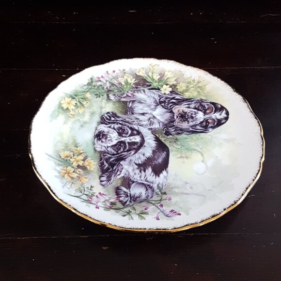 Vintage Royal Kent Cocker Spaniel Puppy Bone China Collector Plate - Picture 4 of 7
